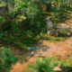 Steam Jagged Alliance 3 Global/China Region Pc Genuine Activation Code Cdkey