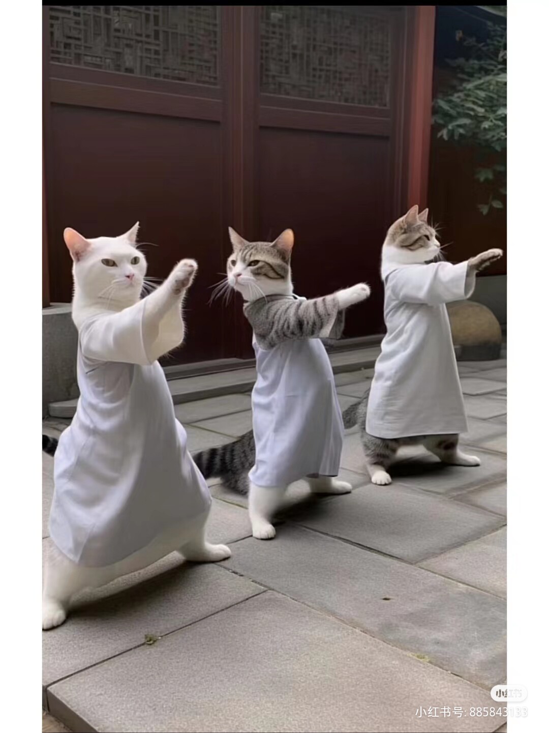 咪家宠物用品