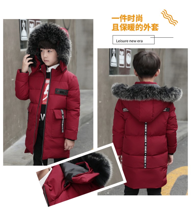 Blouson hiver pour homme   OTHER - Ref 3112415 Image 11