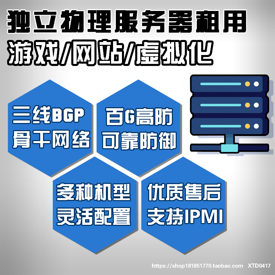 Third line BGP Physical Independent Server Rental Hosting Independent Machine 100G High Defence Second Solution XeonE5