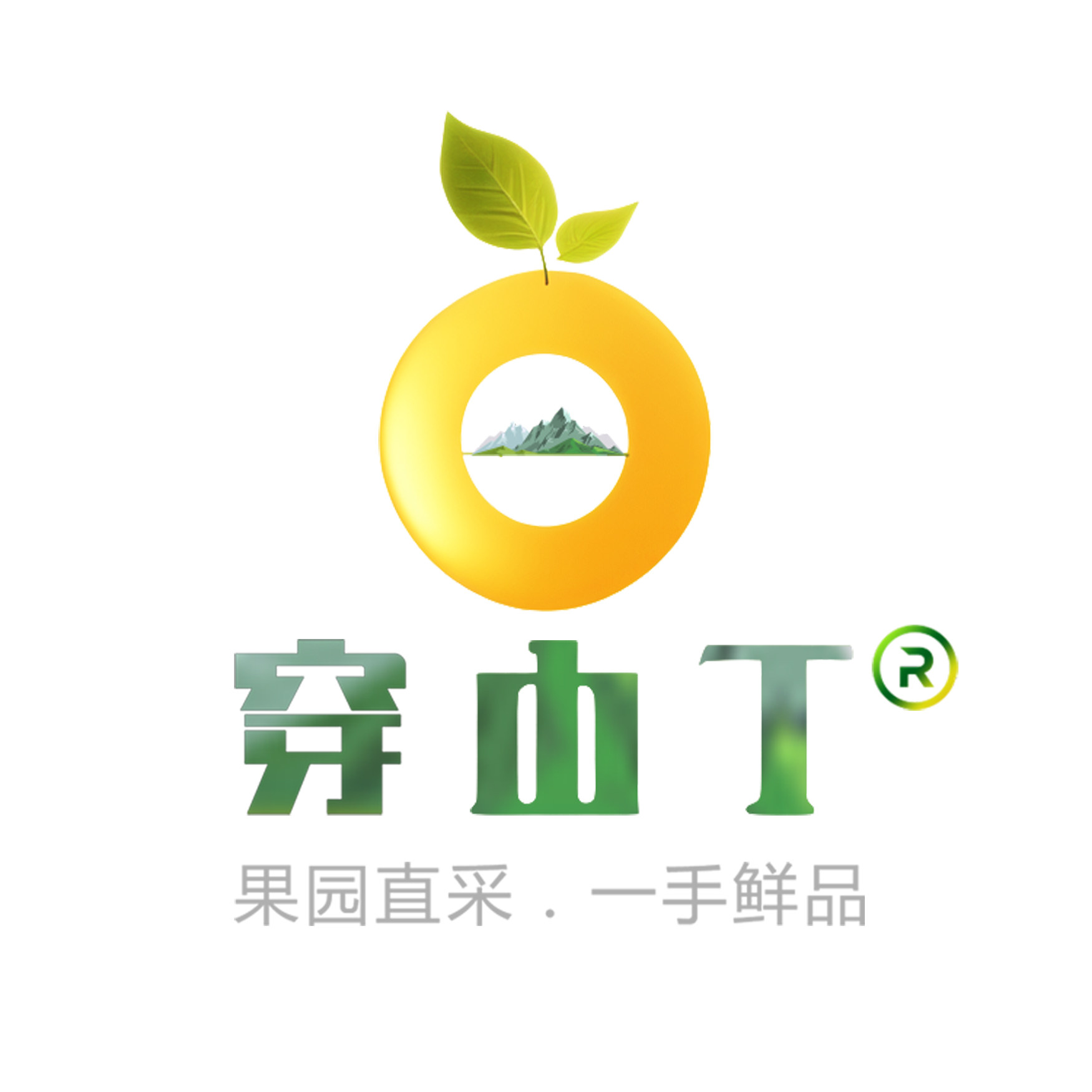 穿山丁 怀化应季水果现摘现发企业店