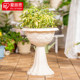 Alice IRIS imitation ceramic wine glass type Alice resin petunia and chrysanthemum garden floor pot bonsai flower