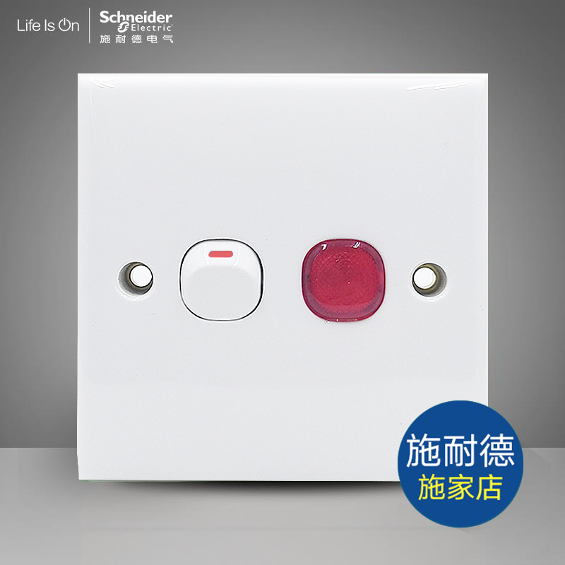 Schneider Switch Socket E30 White 20A Double Pole Switch Light Curve Bathroom Heater Air Conditioner Panel with Indicator Light