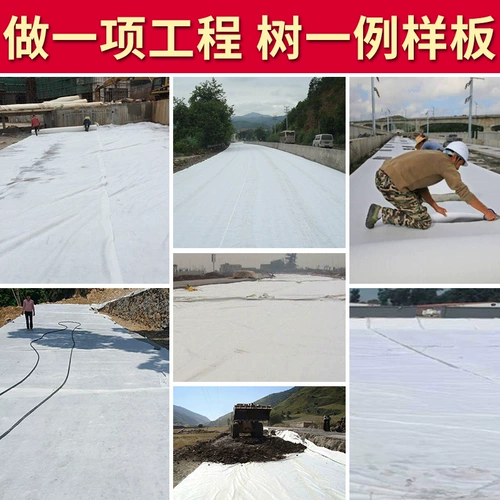 Инженерная геоморфная ткань Прозрачная мост Мост мост Цемент Посадка вода Перчилония белая неизвесная географическая ткань.