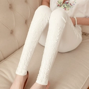 2019 phiên bản Hàn Quốc của mùa xuân mới quần legging nữ mặc quần mỏng sinh viên hoang dã chín quần nữ bó sát mùa xuân và quần mùa thu - Quần tây thường