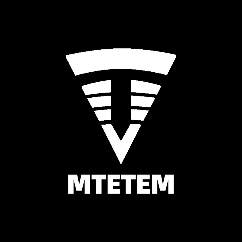mtetem旗舰店的LOGO