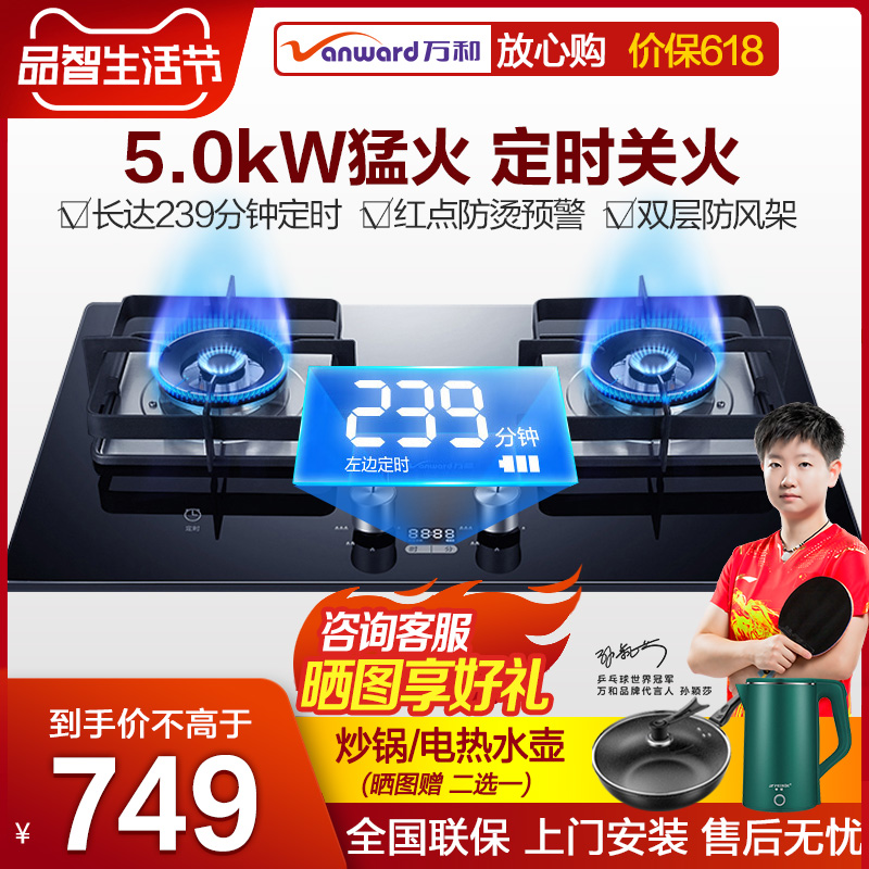 ten thousand and T5L95 gas stove gas double-mouth gas stove timed automatic fire-gas cooker table-embedded dual-use fire stove
