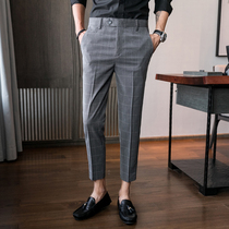 Trousers men Business Leisure ankle-length pants men Korean Plaid slim feet fashion trend no iron suit trousers