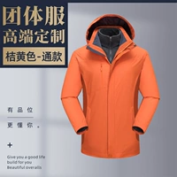 C01 Tyson Wolf-Orange