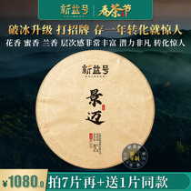 (2020 spring tea spot) ancient 800 Jingmai shopkeeper high subsidy auction 7 hair 8 new sign Puer tea