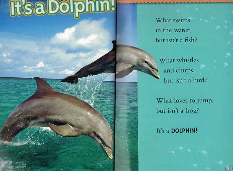English truyện tranh gốc National Geographic Kids level2: Dolphins National Geographic lớp tiểu học đọc sách ảnh cho trẻ em Tiếng Anh Giác Ngộ