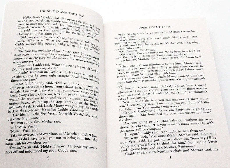 Nguyên bản tiếng Anh Âm thanh và cuồng nộ bởi The Sound William Faulkner và cuốn tiểu thuyết cổ điển từng đoạt giải thưởng Fury William Faulkner Vintage Classics