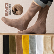 Thickened Socks Male middle cylinder Sox pure cotton autumn Winter style Towel Bottom Plus Suede Men Winter Gross Lap Sports High Silo Stockings