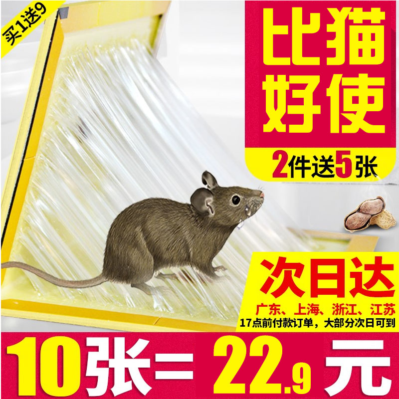 High efficiency clip glues a1 Rat adhesive Domestic type Mouse sticker powerful to rat board Rat Rat Board Home