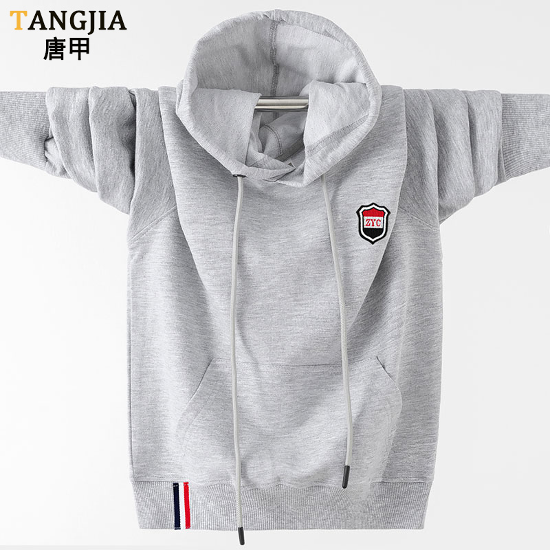 Pure Cotton Sweatshirt for Boys, Hooded, Suitable for Middle and High School Students, Thin Jacket for Spring and Autumn