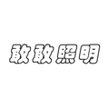 敢敢照明