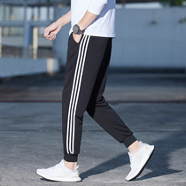 Pants men autumn and winter Korean version of the trend 2019 New plus velvet padded little feet sports Harlan casual long pants