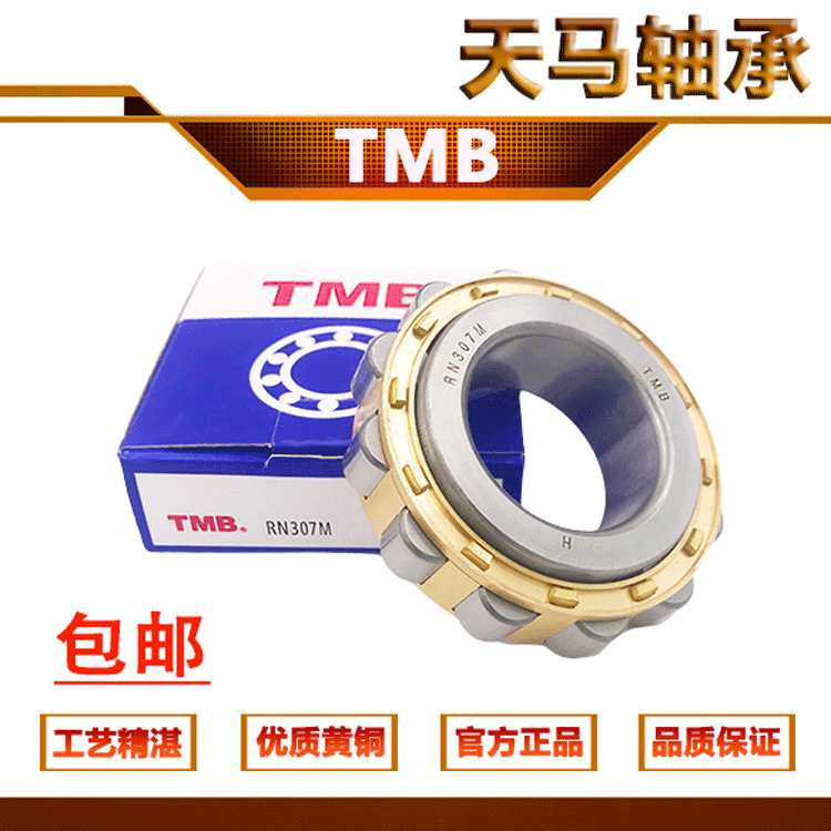 Domestic TMB Skyhorse reducer bearing RN205 RN206 RN206 RN308 RN309M RN312M