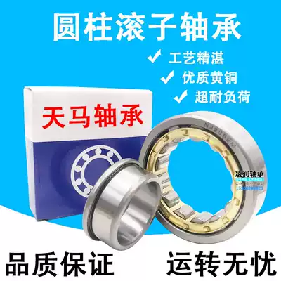 Zhejiang TMB Tianma Bearing N NUP NF 2205 2206 2207 2208 2209 2210 EM