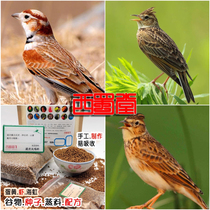 West Shu Hall Artisanal Thyme Cloud Nestling Nutritional Bird Food Boost Large Sing Material Collection of Mao Special Feed Bathyme Feed