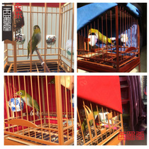 West Shu Hall Embroidered Bird Food Feed Handmade Embroidered Eyebird Feed Red Rib Embroidered Eye Close-up and embroidered eye bird food feed