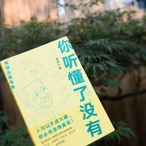 预售 你听懂了没有 戴建业 著 散文 文学 上海文艺出版社有限公司 畅销书籍排行 新华正版