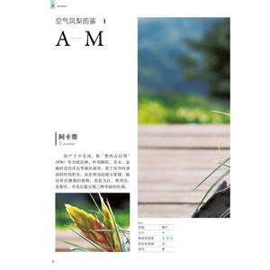 园艺大师藤川史雄的100种空气凤梨栽培手记 [日]藤川史雄 著 种植业 专业科技 中国农业出版社 9787109268746