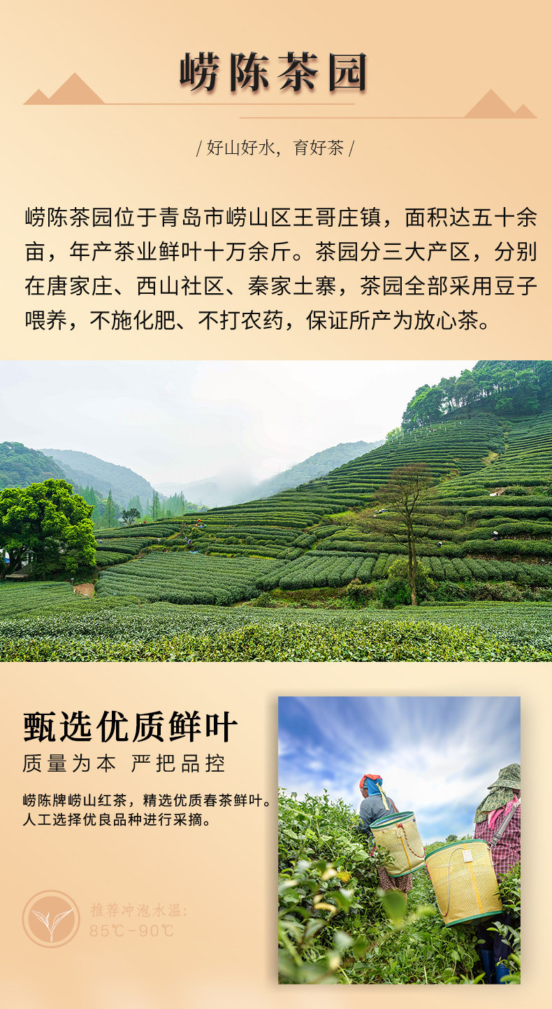 安享好物 安享B级红茶-崂陈崂山红茶
