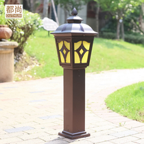 Outdoor courtyard street lights outdoor lawn lights straw lights Villa District Park lawn lights waterproof rust street lights