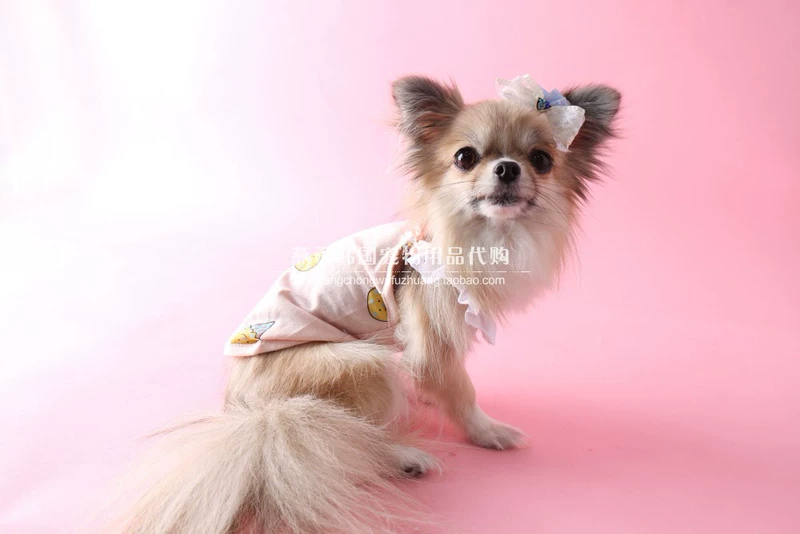 Hàn Quốc mua thú cưng cung cấp quần áo thú cưng mèo và chó phim hoạt hình dễ thương kem ren tay áo vest - Quần áo & phụ kiện thú cưng