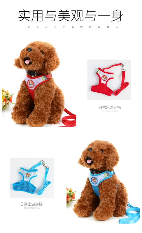 Chó kéo dây kiểu kéo dễ thương cún con kéo dây con chó nhỏ Teddy Bomei dây xích chó 遛 dây mèo - Cat / Dog hàng ngày Neccessities