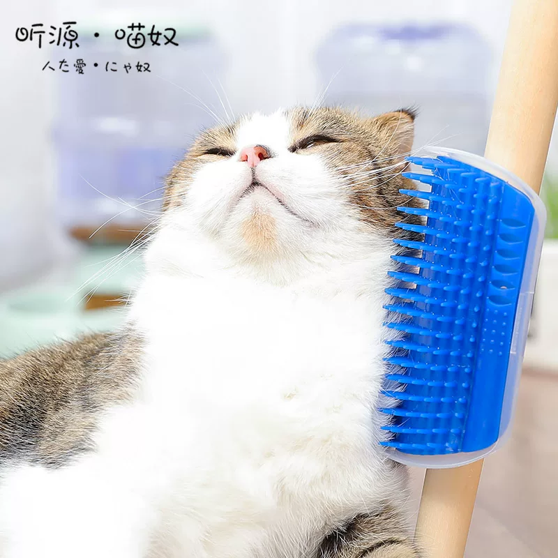 Кошачий уголок угла кошки