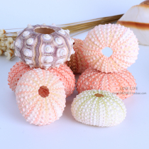 Cute pink natural sea urchin Mediterranean home decoration decoration Pineapple potted gift props Wedding floor