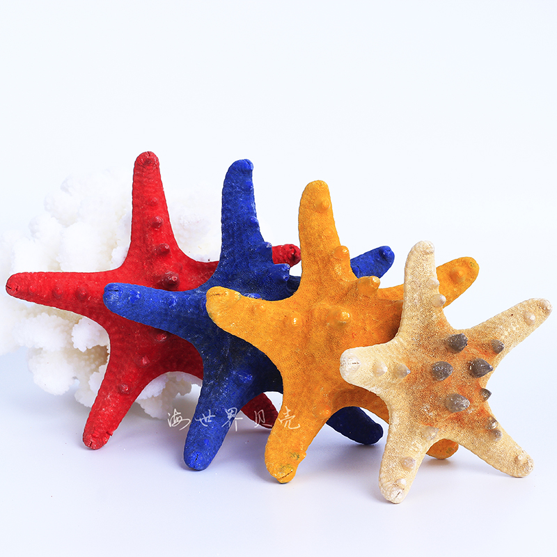 Natural master King Five fingerbakery sea starfish shell hanging piece decorated wedding props on Mediterranean wall