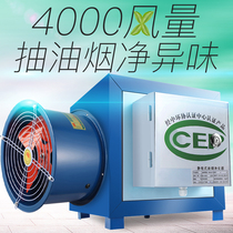 Special Total 4000 Air Volume Net Peculiar Smell Oil Smoke Purifier All-in-one Small Hotel Kitchen Commercial Range Hood Separation