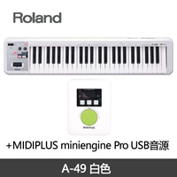 A-49 White+Miniengine Pro Источник звука