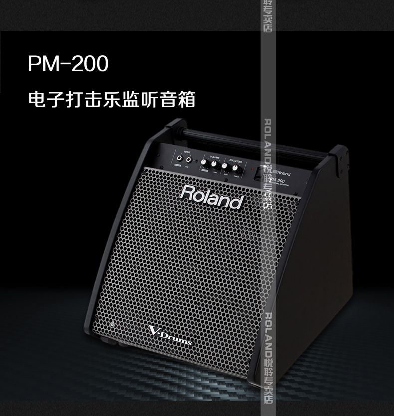Loa trống điện Roland / Roland PM03 PM100 PM200 trống điện trống loa điện đệm âm thanh - Loa loa loa marshall