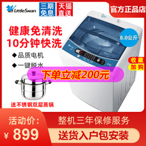 Little Swan 8 KG KG dormitory household automatic mini pulsator small washing machine with a drying TB80V320