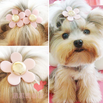 New ~ Cute Little Daisy Pet Dog Dog Dog Head Flower Tedyjok Summer Head Flower Ornament ~ Japanese Head Flower