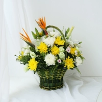 Цветочная корзина с хризантема