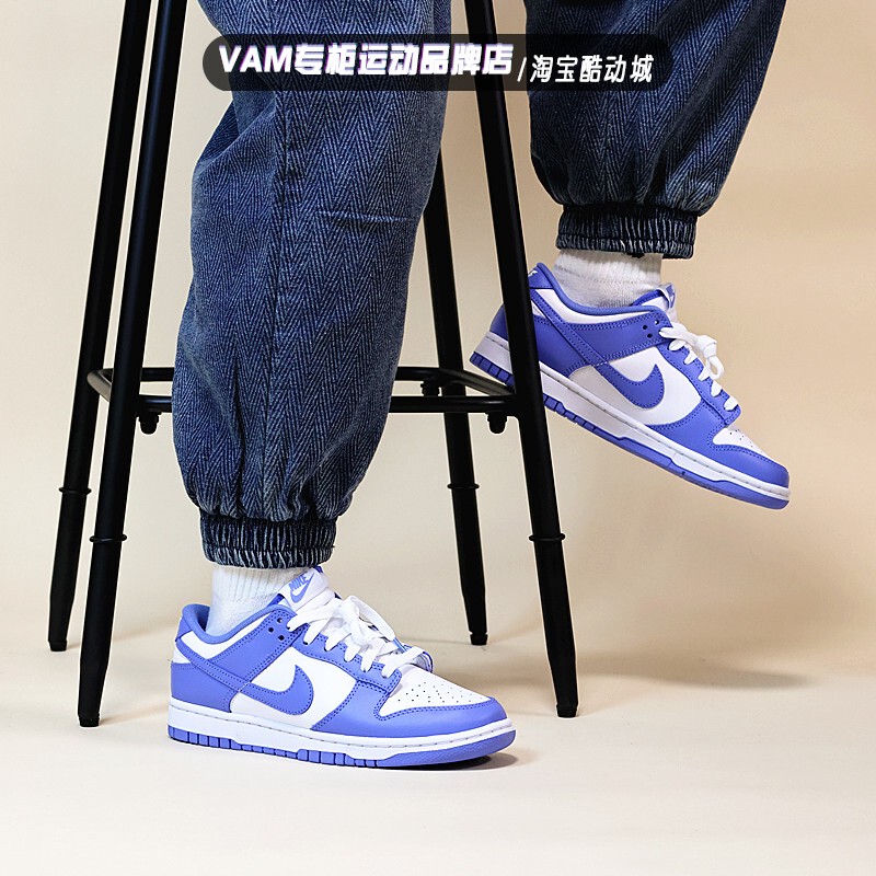 Nike Dunk Low Nike Men's Arctic Blue Sports Casual Shoes White and Blue Low-Top Sneakers Dv0833-400