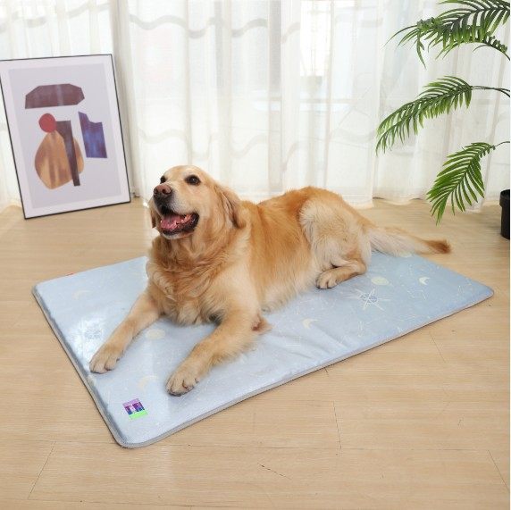 Star moon ice wire pet mat puppy dog tear-proof tattoo can be removed summer cushion cat four seasons universal anti-slip bed