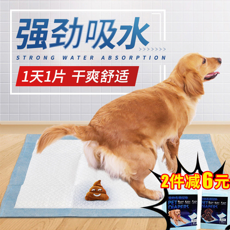 golden retriever diapers