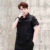 Audi с короткими рукавами (маркирован) верх