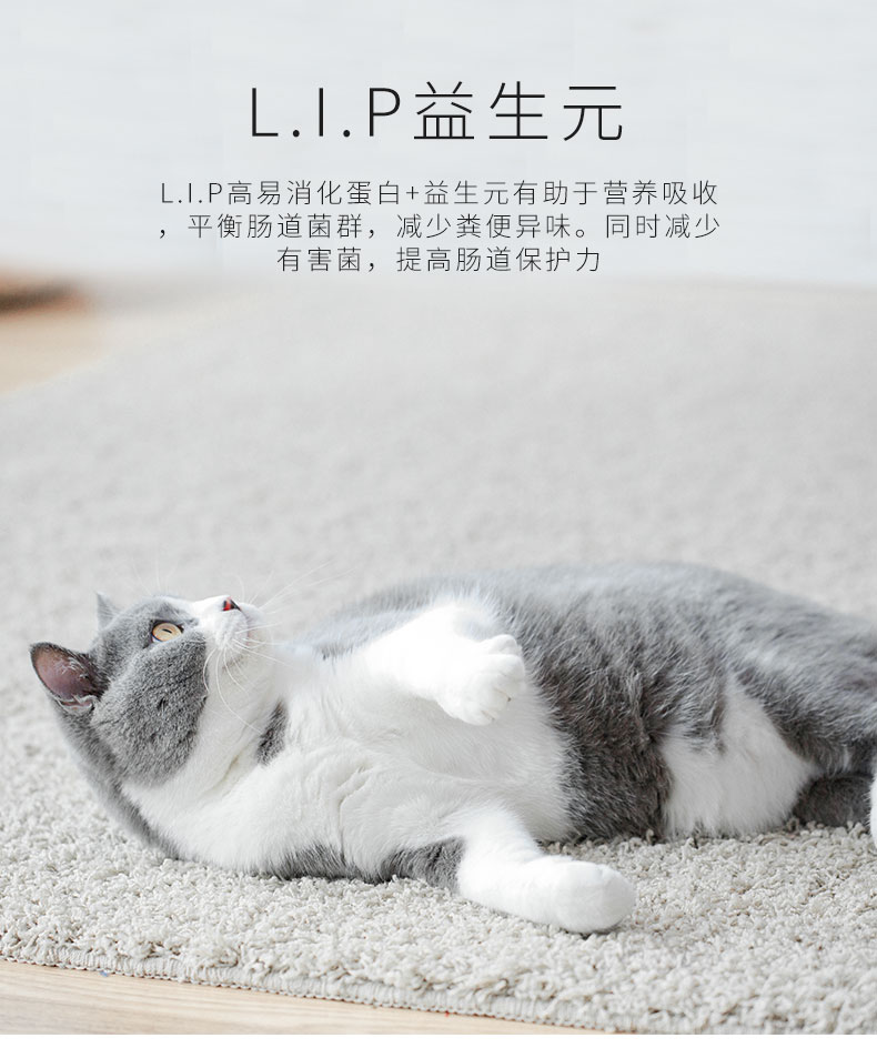 Royal Cat Food BK34 Young Cat Sữa Cake Cat (1-4 tháng) 400g * 10 gói Thức ăn chủ yếu cho mẹ và con mèo catsrang 1kg