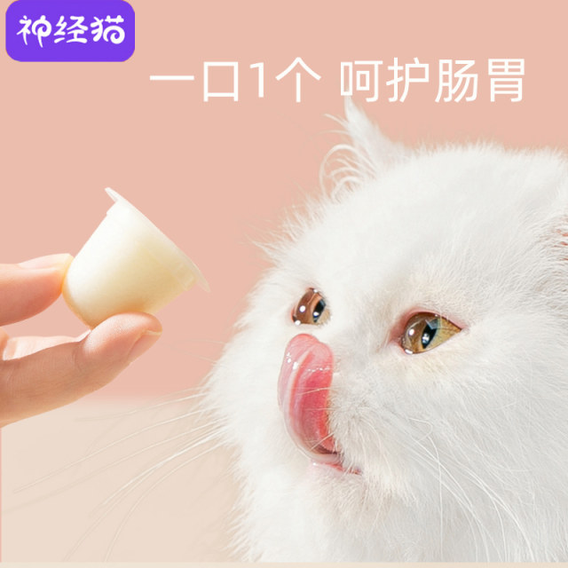 ນົມແບ້ cat pudding kitten cat ໂພຊະນາການ fattening hydration cat pudding jelly wet food cat canned cat snacks