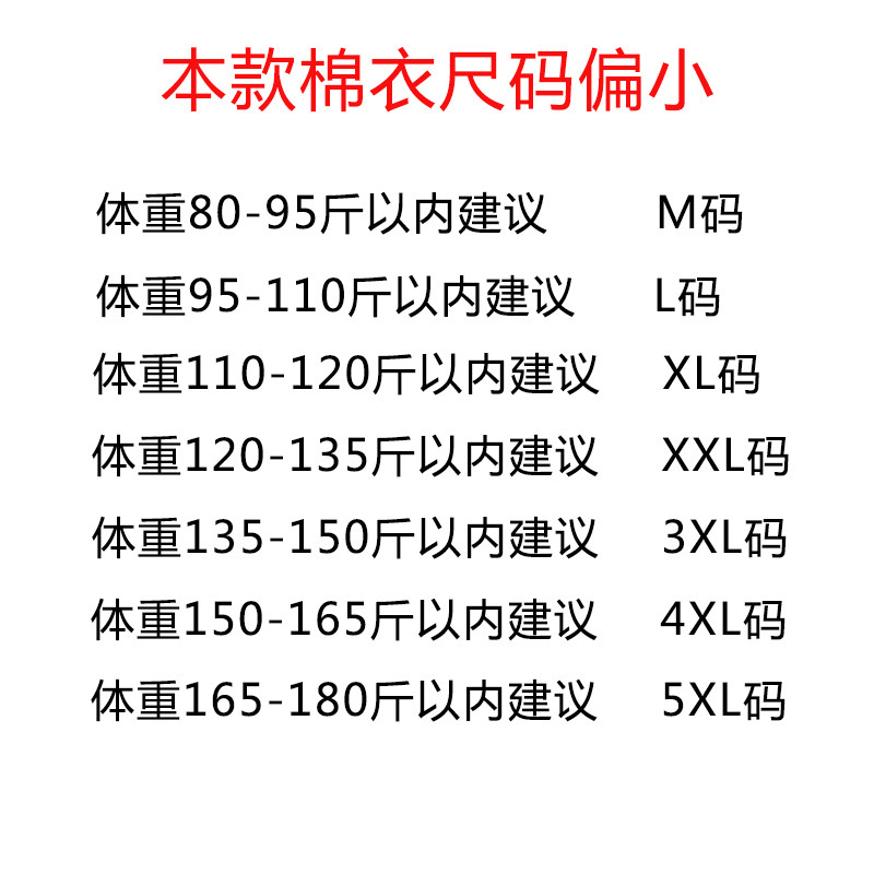 Blouson chaud pour homme en Polyester - Ref 3112388 Image 5