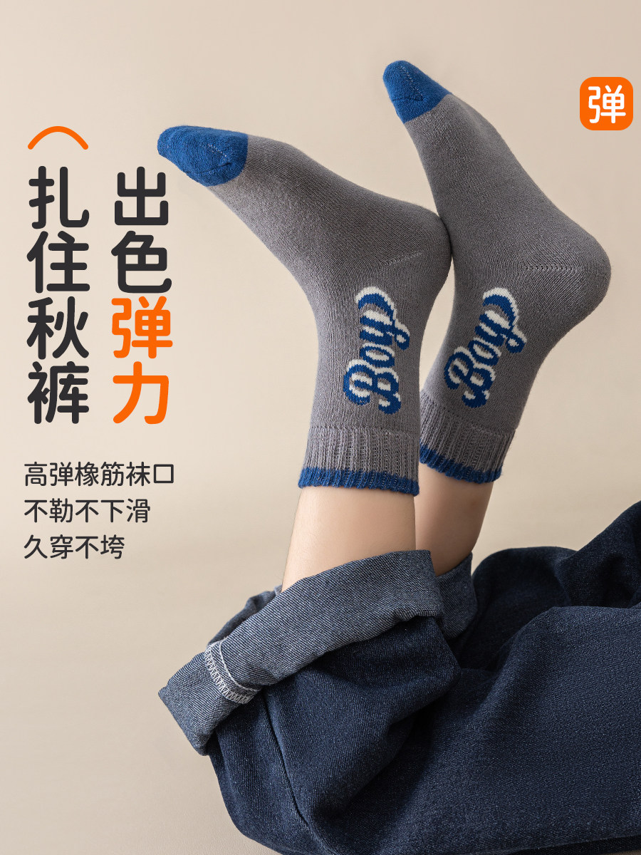 Boys' Socks 2025 New Winter Thickened Warm Pure Cotton Children's Mid-Calf Blue Boys' Long Terry Socks