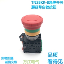 High quality TN2BKR-1B 1A mushroom head self-locking button emergency stop switch rotary reset 22MM