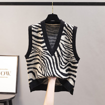 Knitted waistcoat vest women's spring and autumn 2021 new zebra pattern women's sleeveless sweater Korean V-neck loose